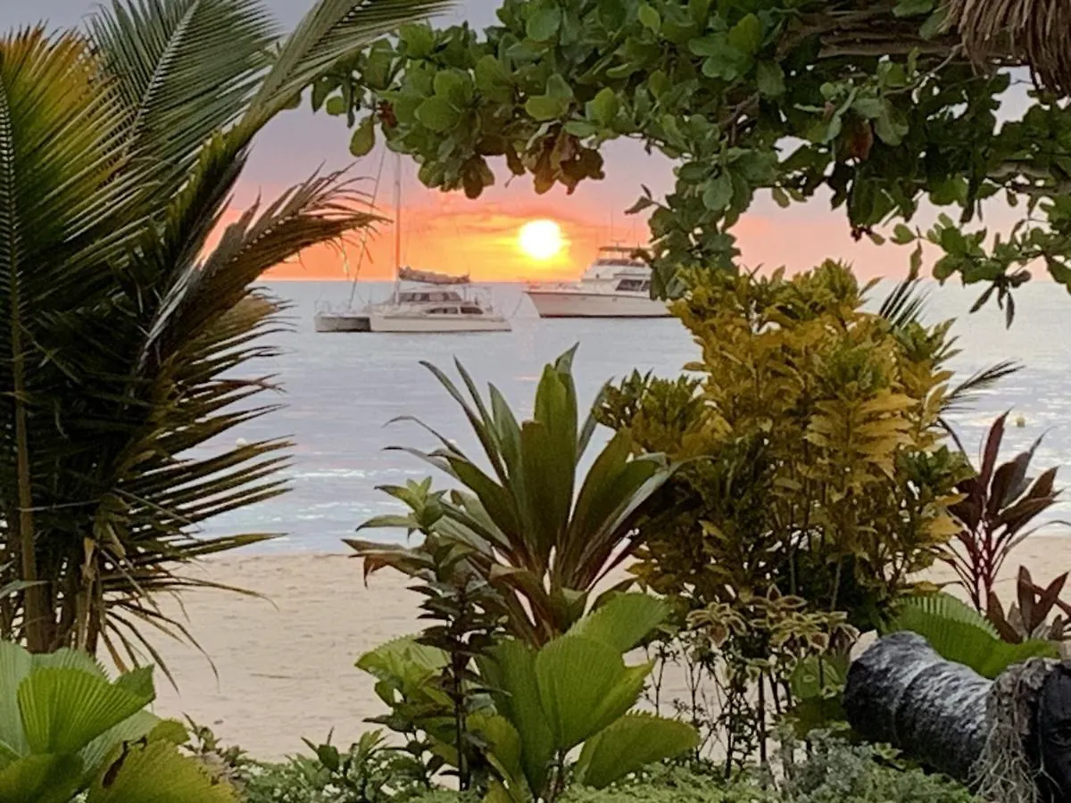 Family Comfort In Jamaica - Enjoy 7 Miles Of White Sand Beach! Villa ネグリル ジャマイカ