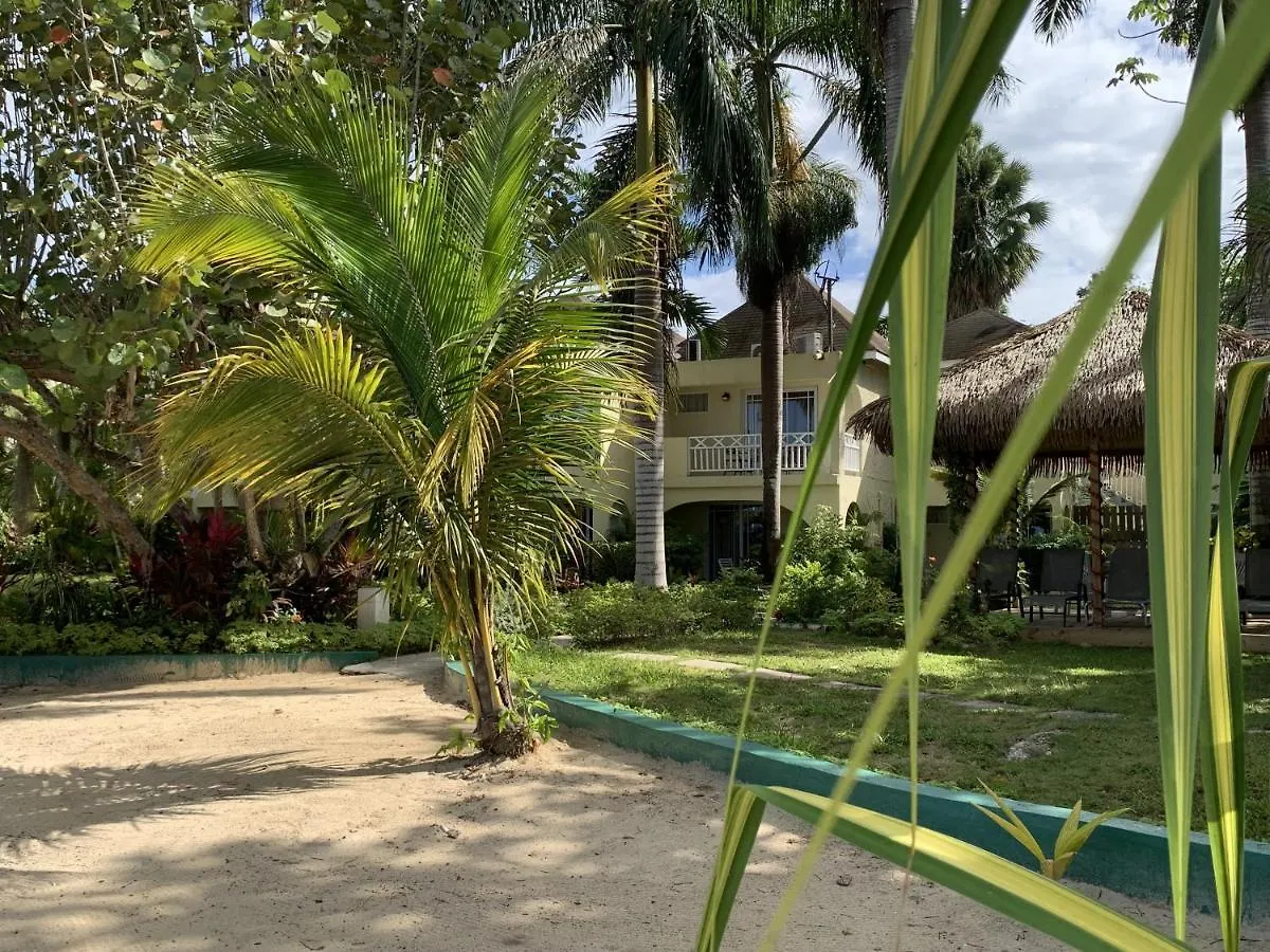 Family Comfort In Jamaica - Enjoy 7 Miles Of White Sand Beach! Villa ネグリル