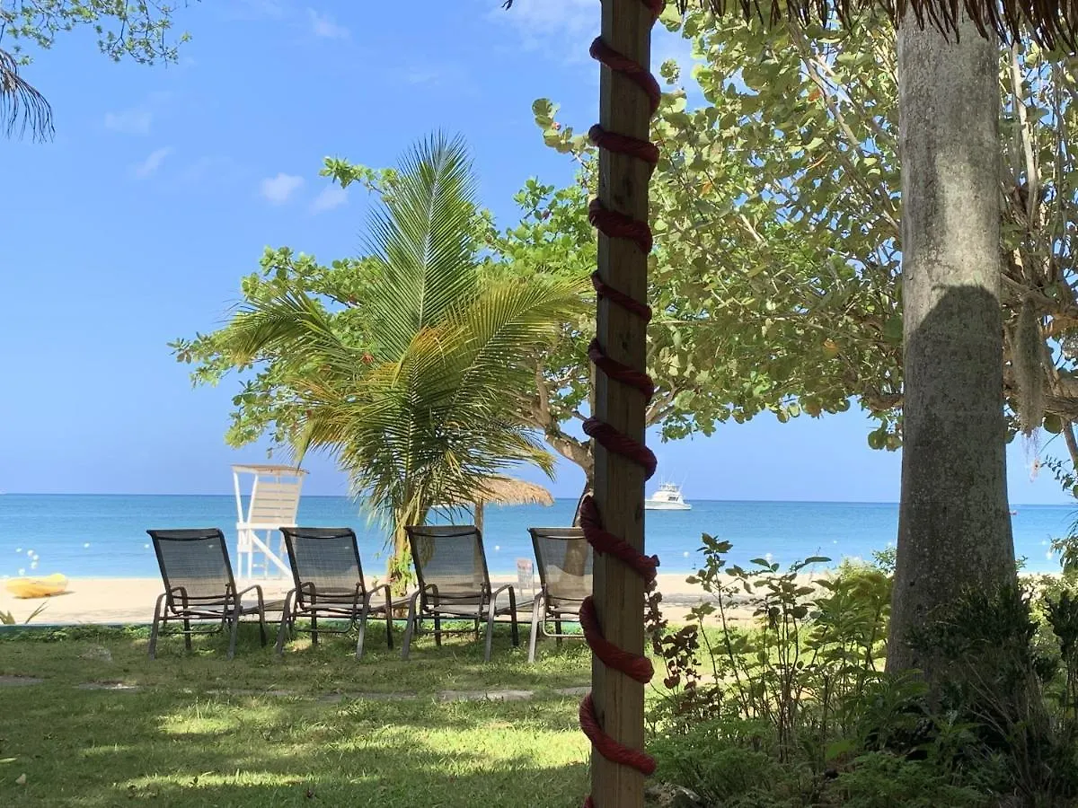 Family Comfort In Jamaica - Enjoy 7 Miles Of White Sand Beach! Villa ネグリル